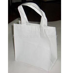 Non woven bag 1